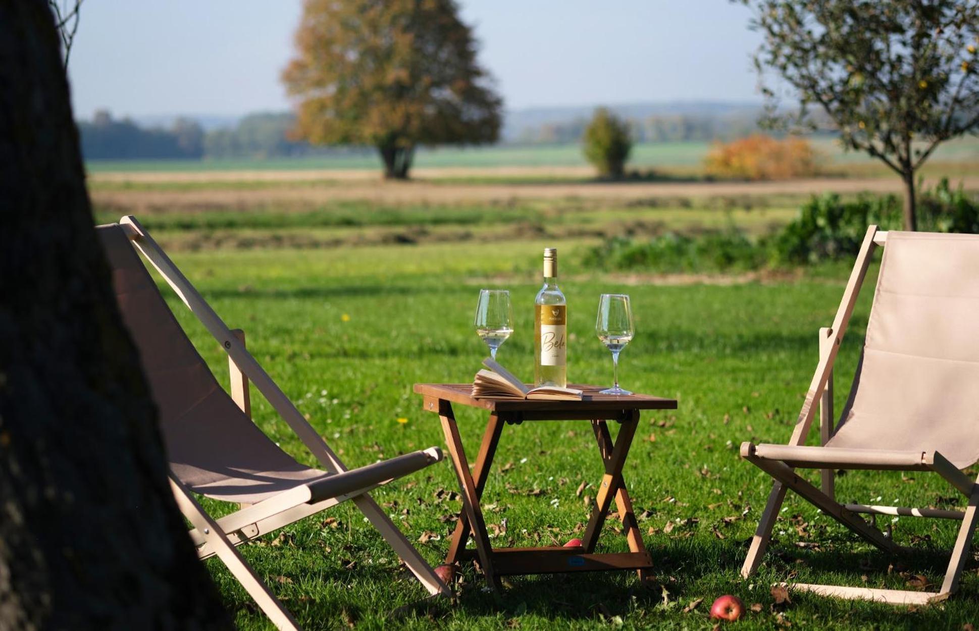 Passero Holiday House Moravske Toplice Zewnętrze zdjęcie